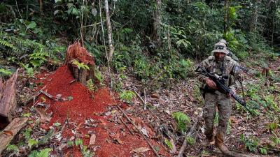 Quatro mineiros mortos em tiroteio com a polícia no território Yanomami do Brasil - TVI