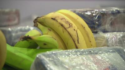 Bananas vindas da América do Sul escondiam cocaína. PJ apreende 300 quilos nas Caldas da Rainha - TVI