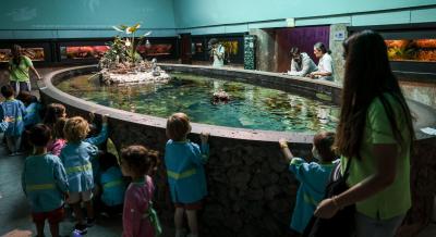 Aquário Vasco da Gama nasceu há 125 anos. O aquário "mais antigo do mundo aberto ao público" é o "guardião dos mares" - TVI