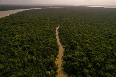 Sede da COP30 em 2025 vai ser na Amazónia - TVI