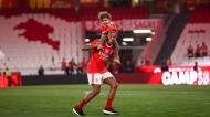 A festa do Benfica campeão (Carlos Rodrigues/Getty Images)