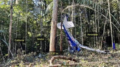Como é que quatro crianças sobreviveram à queda de um avião na Amazónia? Um novo relatório oferece pistas - TVI