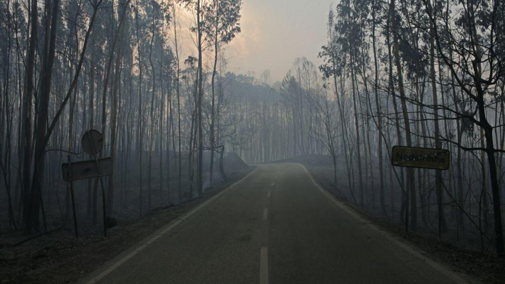 Portugal Wildfires Anniversary - pedrogao (Armando Franca/AP)