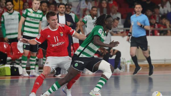 Futsal: Gegner von Sporting und Benfica in der Hauptrunde der Champions League