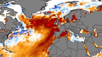 Oceano Atlântico Norte está a viver uma onda de calor marinho "totalmente sem precedentes” - TVI