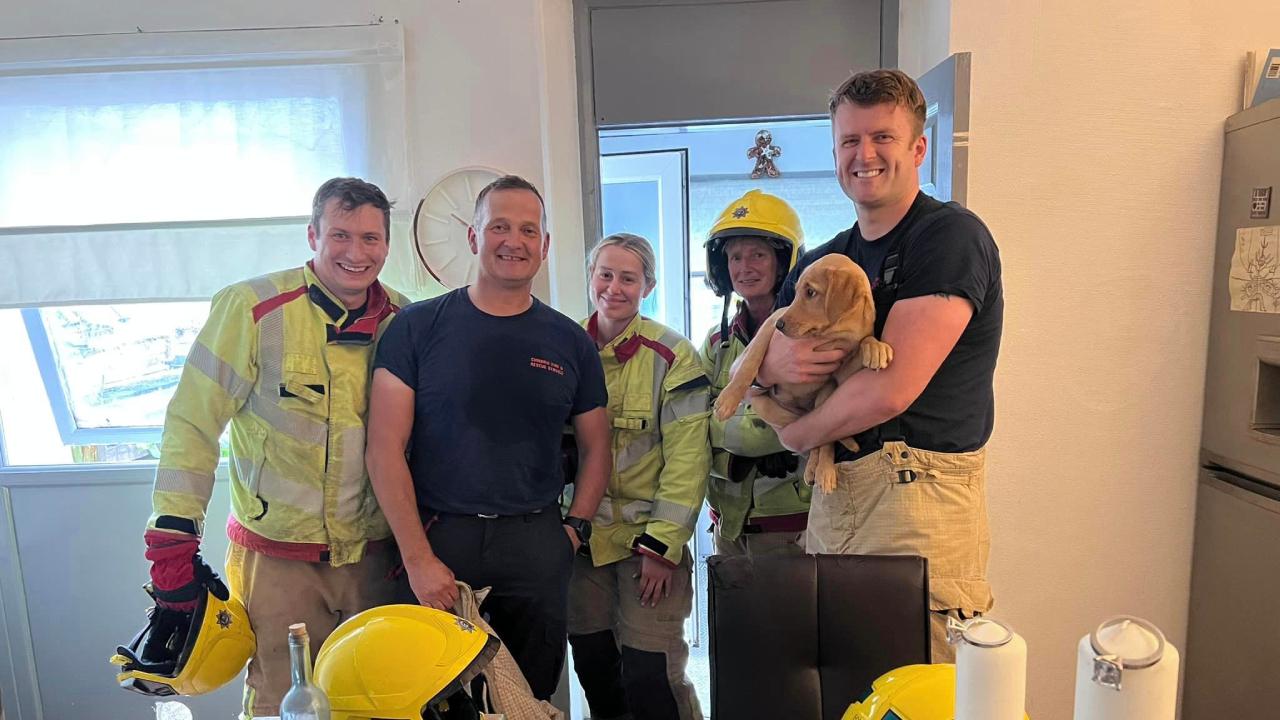 Sorrisos após o salvamento (FB Carlisle East Fire Station)