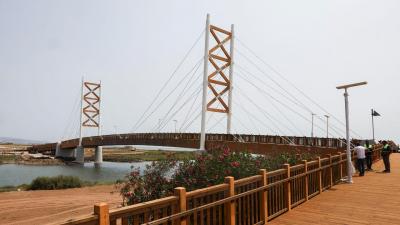 Petição contra nome de Manuel Clemente na nova ponte ciclopedonal já pode ser debatida na AR - TVI