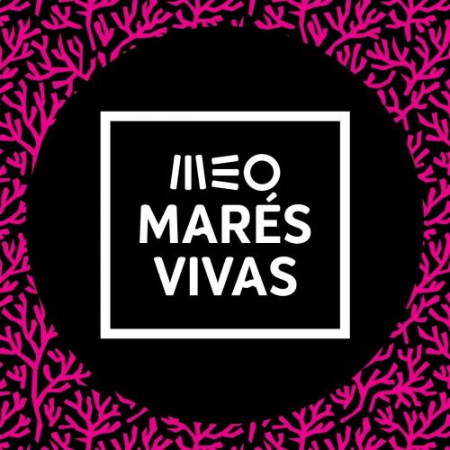 thumbnail Festival Meo Marés Vivas