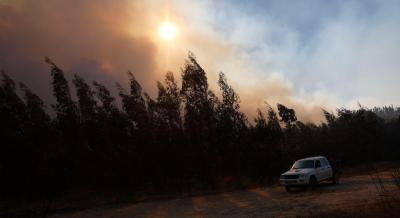 Mais de 500 bombeiros combatem fogo ativo na Serra de Montejunto - TVI