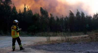 Dezoito concelhos de três distritos em perigo máximo de incêndio - TVI