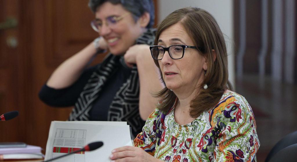 A relatora da comissão de inquérito à TAP e deputada do PS, Ana Paula Bernardo (Lusa/António Cotrim)