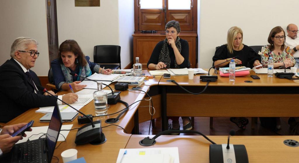 Comissão Parlamentar de Inquérito à Tutela Política da Gestão da TAP (Lusa/ António Cotrim)