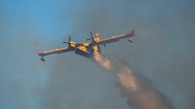 Avião de combate a incêndios despenha-se na Grécia, dois mortos - TVI