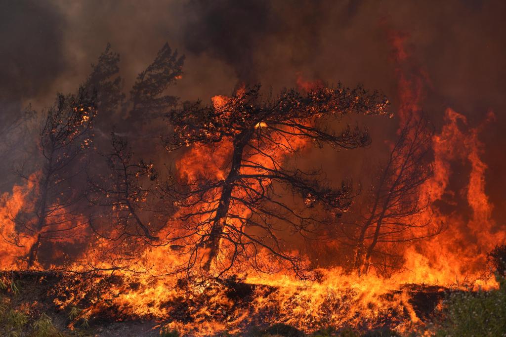 Incêndios florestais na Grécia (AP)