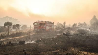Incêndio em Cascais: Proteção Civil mantém "dispositivo reforçado" no local para evitar "reativações" - TVI