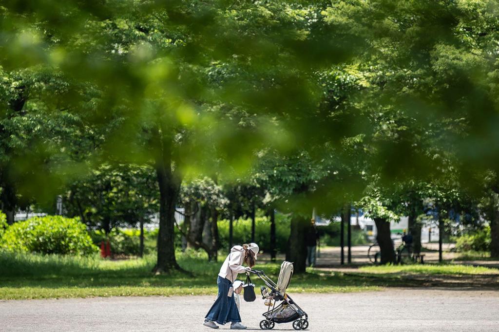 Parque em Tokyo (Newsource/Philip Fong/AFP/Getty Images/File)