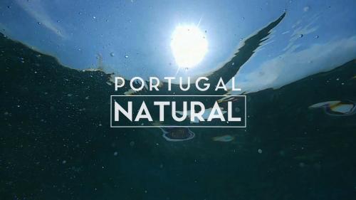 thumbnail ICNF - Portugal Natural