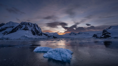 Mais um recorde aterrador batido. Antártida está a perder uma quantidade de gelo equivalente ao tamanho da Argentina - TVI