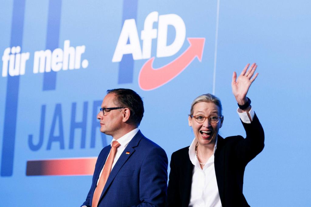 Tino Chrupalla e Alice Weidel, líderes do partido de extrema-direita alemão AfD (AP)