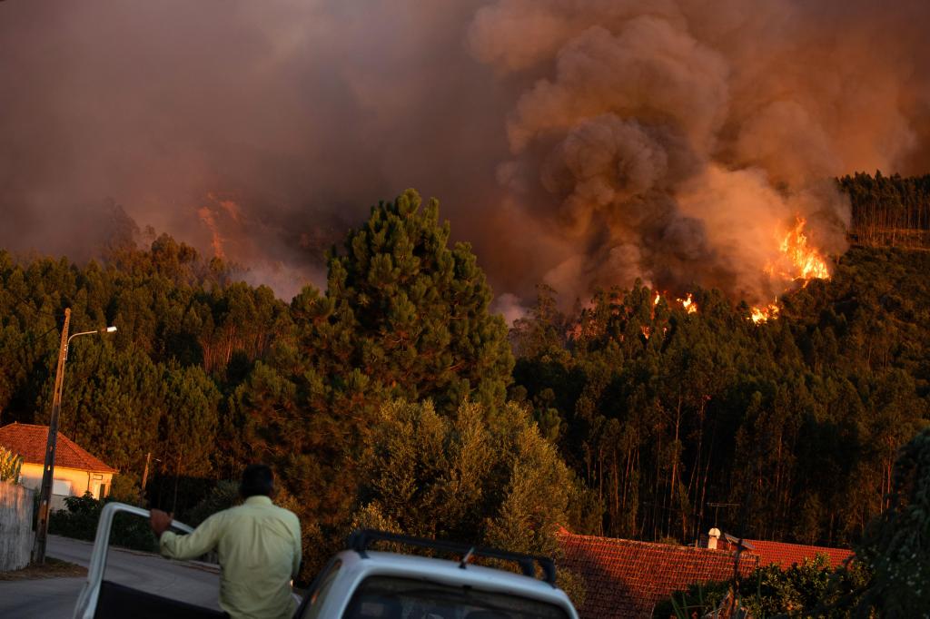 Incêndio em Ourém (Lusa/Paulo Cunha)