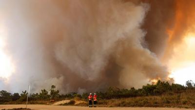 Incêndio em Odemira causou prejuízos de "cerca de 15 milhões de euros” - TVI