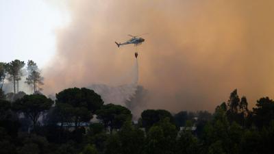 Mais de 50 concelhos de sete distritos em perigo máximo de incêndio - TVI