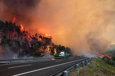 A1, EN113: estradas cortadas pelos incêndios, carros a inverter marcha - artigo em atualização contínua - TVI