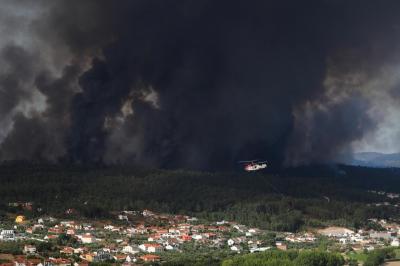 Presidente da Câmara de Leiria pede “investigação contundente” a fogos na Caranguejeira - TVI