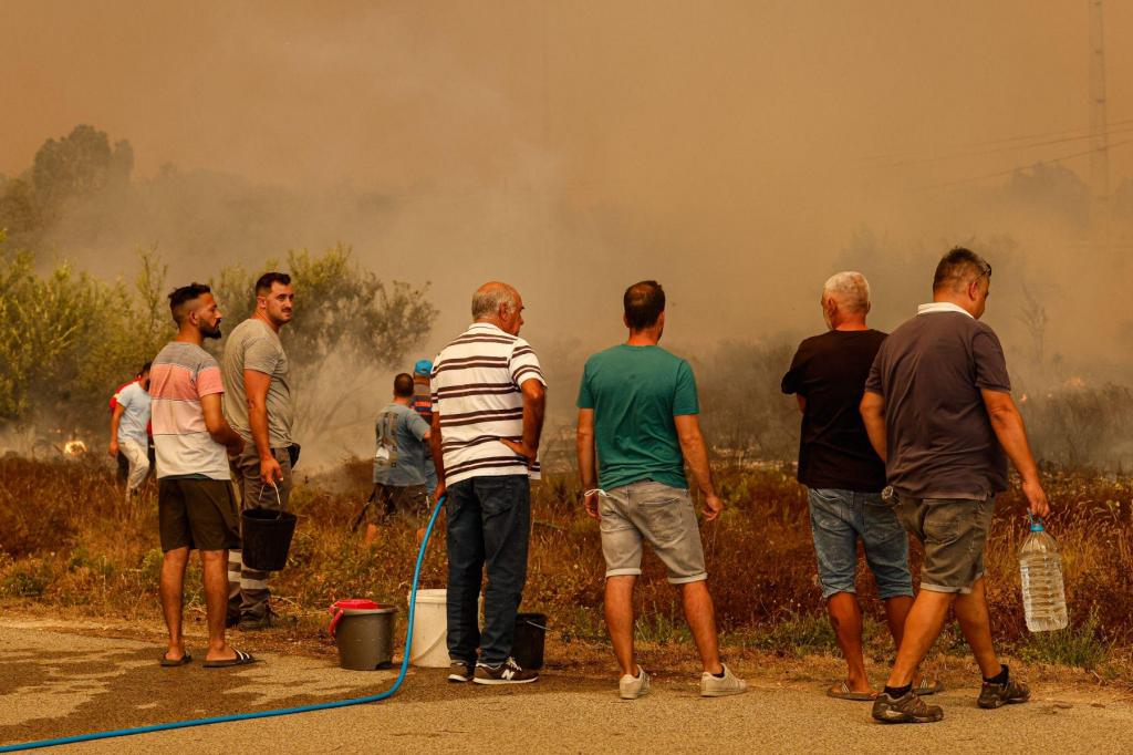Populares combatem incêndio em Odemira (Luís Forra/Lusa)