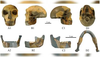 Crânio de 300 mil anos encontrado na China - diferente de qualquer outro humano primitivo alguma vez visto - TVI