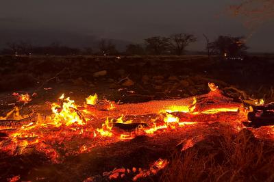 Novo balanço: sobe para 55 o número de mortos em incêndio no Havai - TVI