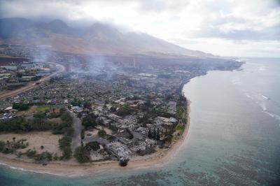 “Peguei no passaporte e no cão”. Morador de Maui fugiu assim que viu "enorme nuvem preta" e critica autoridades por falta de aviso - TVI