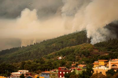 Incêndio de Tenerife continua descontrolado e já consumiu 5.000 hectares - TVI