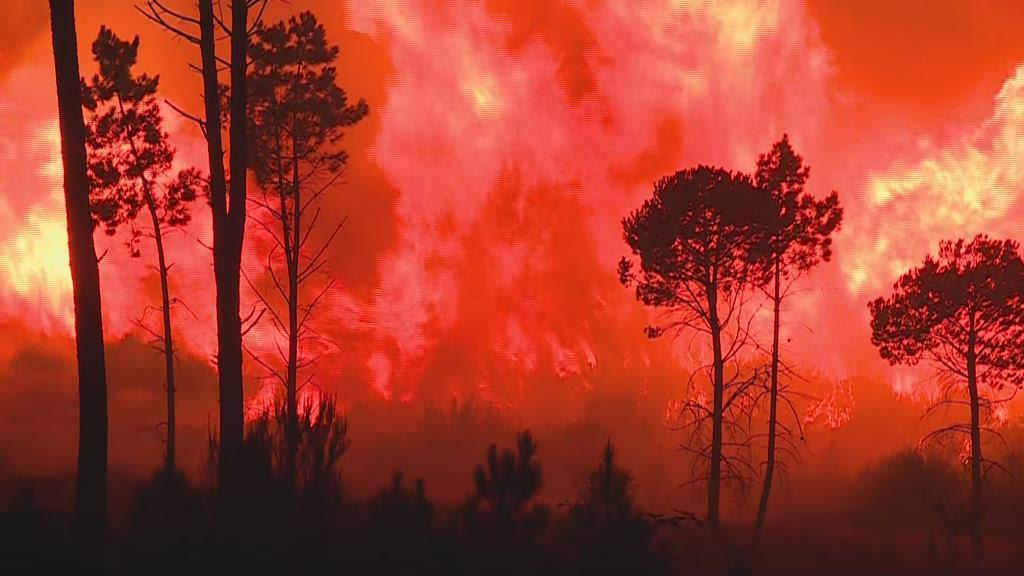 Três grandes incêndios, mais de 800 hectares ardidos e seis feridos