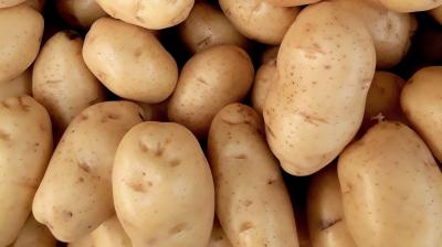 Batatas ficam menos calóricas no dia seguinte a terem sido cozinhadas? Esfrie aqui as suas dúvidas - TVI