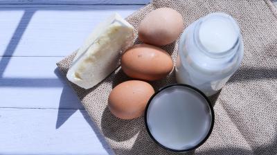 Leite, ovos ou iogurtes proteicos antes de dormir ajudam a ganhar músculo? Fortaleça aqui as suas certezas - TVI