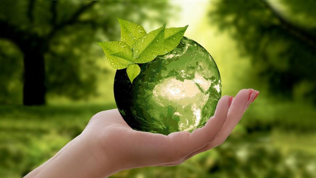 Sustentabilidade - Circularidade (foto: Annette Pictures/Pixabay)