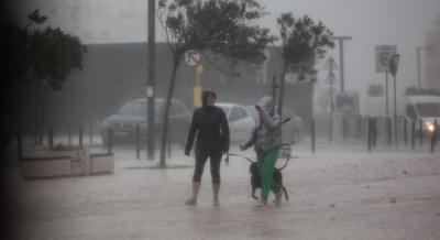 Proteção Civil regista quase 200 ocorrências até às 7:00 por causa do mau tempo. Região Norte é a mais afetada - TVI