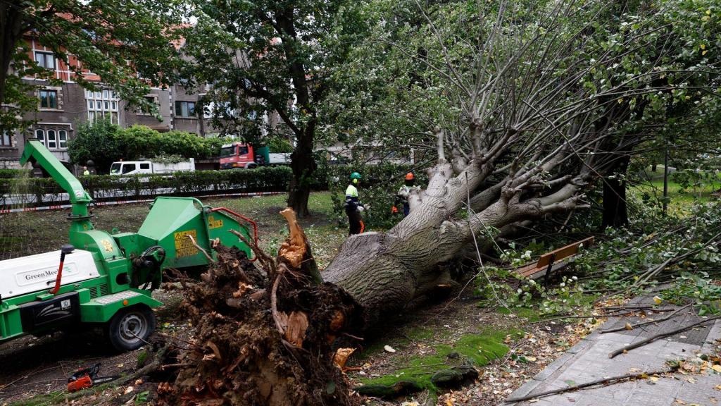 Tempestade Ciarán provoca estragos em Espanha (Lusa)