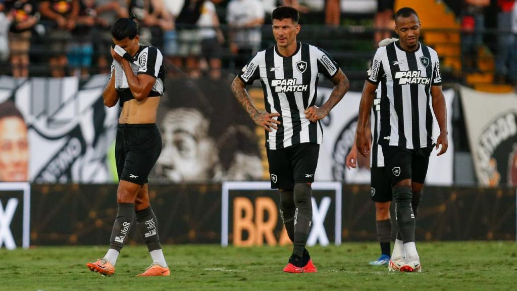 Botafogo (Photo by Ricardo Moreira/Getty Images)