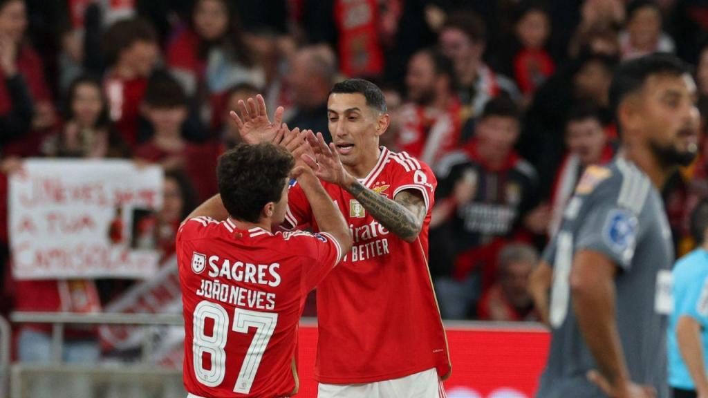 Benfica-Aves SAD (Tiago Petinga/Lusa)