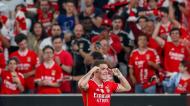 Benfica-Moreirense (JOSE SENA GOULAO/LUSA)