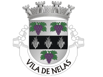Vila de Nelas