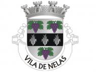 Vila de Nelas